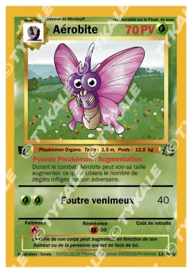 Carte Aérobite — série Fleur
