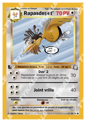Carte Rapasdepet’ — série Fleur