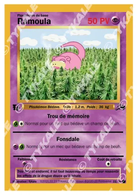 Carte Ramoula — série Résine