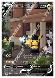 Carte Pikashouf