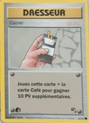 Carte Camel