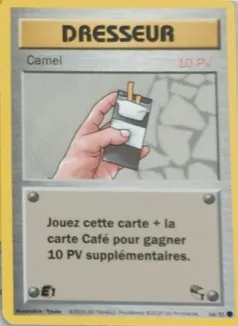 Carte Camel