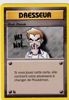 Carte Prof. Chnek
