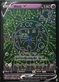 Carte Wem V
