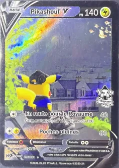 Carte Pikashouf V