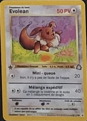 Carte Evolean — série Fleur