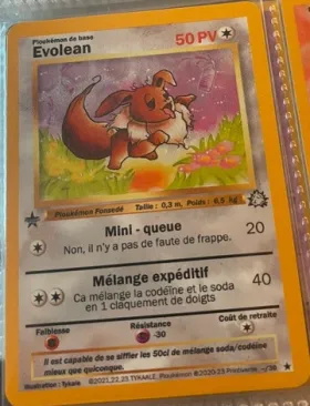 Carte Evolean — série Fleur