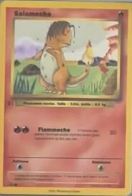 Carte Salamoche — série T1