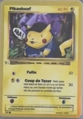 Carte Pikashouf — série T1