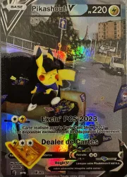 Carte Pikashouf V