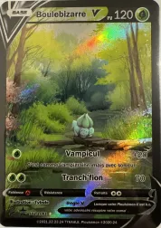 Carte Boulebizarre V