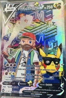 Carte TEAM et Pikashouf