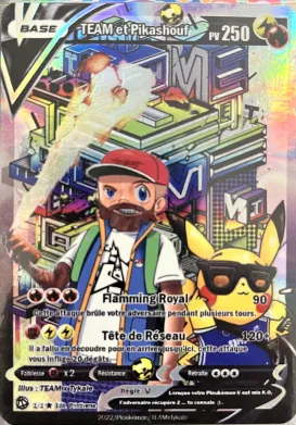 Carte TEAM et Pikashouf — série Hors série