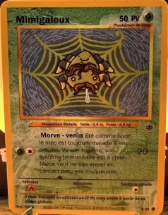 Carte Mimigaleux