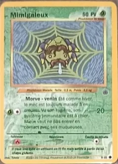 Carte Mimigaleux