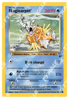 Carte Magicarpèt'