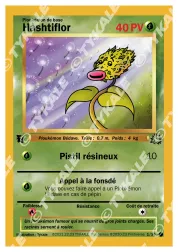 Carte Hashtiflor