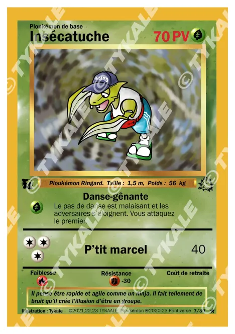 Carte Insécatuche