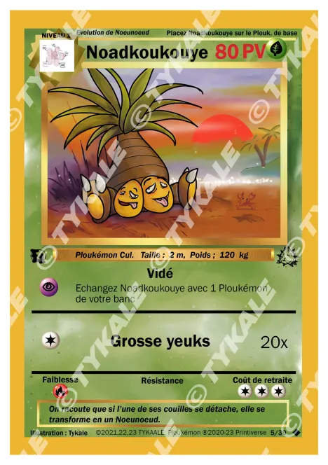 Carte Noadkoukouye
