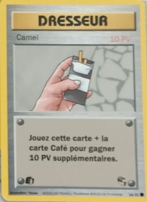 Carte Camel