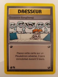 Carte Carapuce Gang(bang)