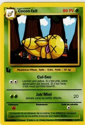 Carte Cocon-fait