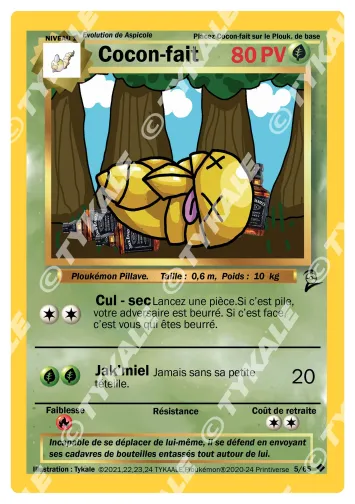 Carte Cocon-fait