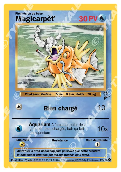 Carte Magicarpèt'