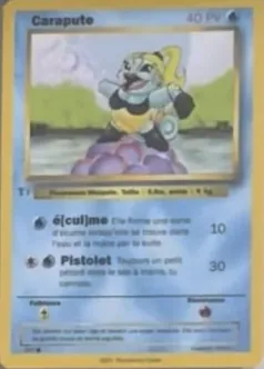 Carte Carapute