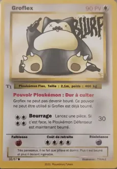 Carte Groflex