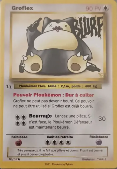 Carte Groflex
