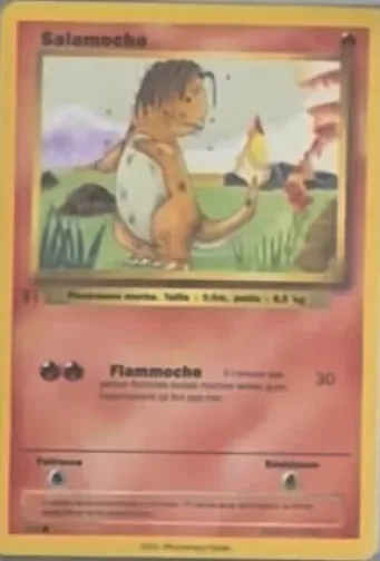 Carte Salamoche