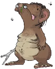 Avatar du Ploukémon Mochelaid