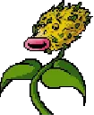 Avatar du Ploukémon Hashtiflor