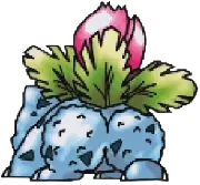 Avatar du Ploukémon Derchbizarre