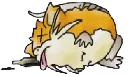Avatar du Ploukémon Ratpatrac