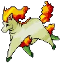 Avatar du Ploukémon Ponygras