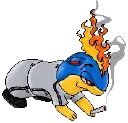 Avatar du Ploukémon Feuchichon