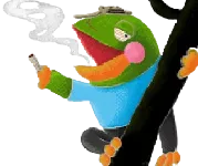 Avatar du Ploukémon Tarpopo