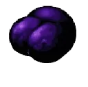 Avatar du Ploukémon Fantrouminus