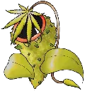Avatar du Ploukémon Empifume