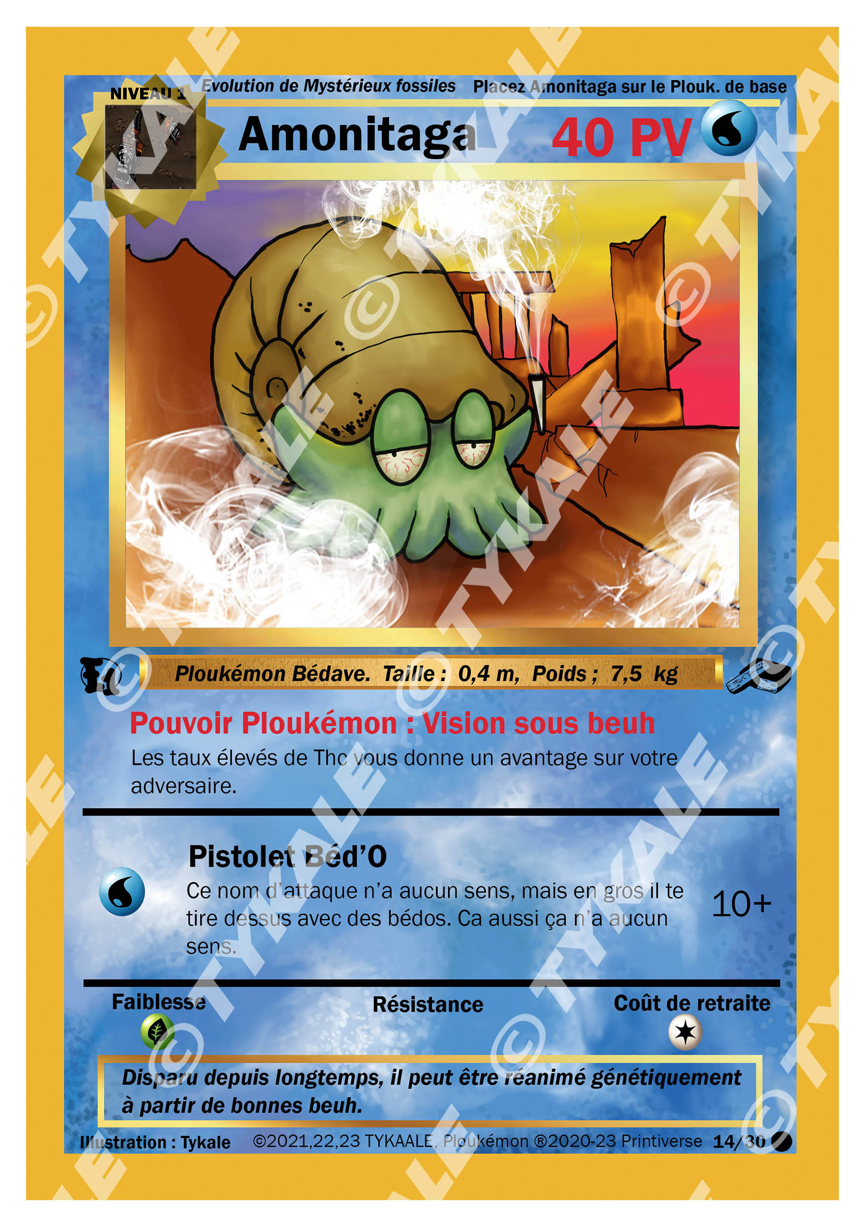 Carte Amonitaga — série Résine